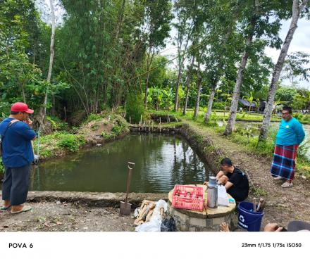 Manfaatkan kolam saat musim penghujan